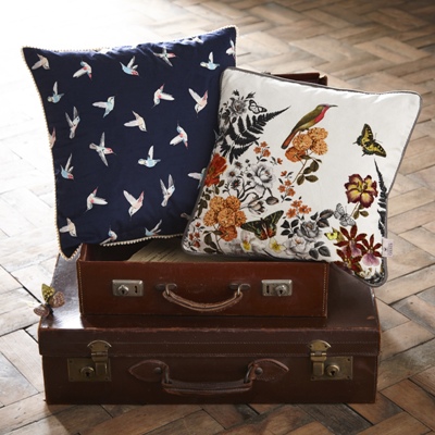 Hummingbird Square Cushion